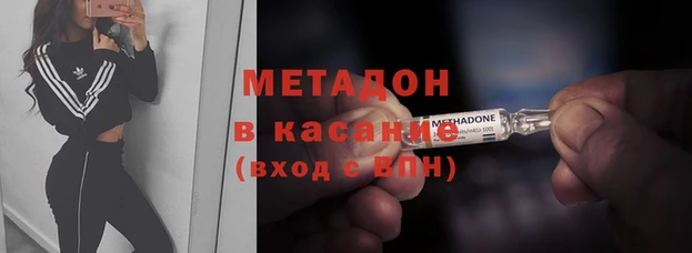 гашик Алексин