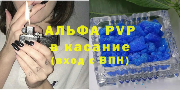 гашик Алексин